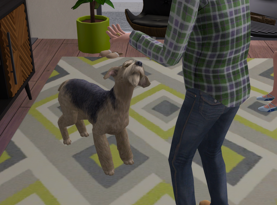 ksnip-20250622-122438