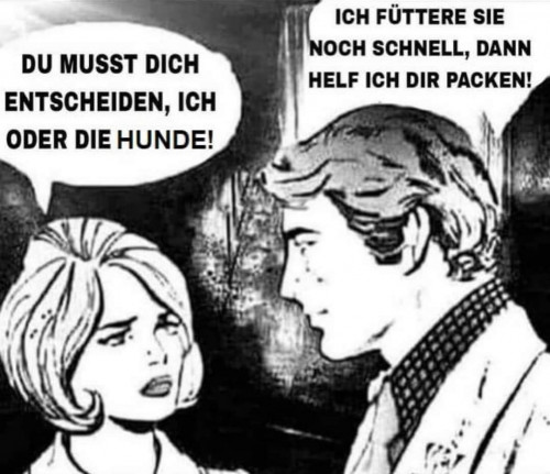 thumbs-picdump865-010.jpg