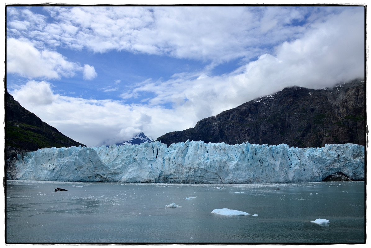 22 de junio. Navegando por Glacier Bay - Alaska por tierra, mar y aire (10)