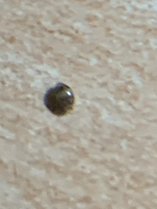 1A1037BE-4917-4DE5-AD54-E2ACFEE986E3