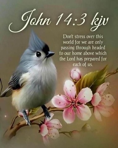 Scripture-John-14-3