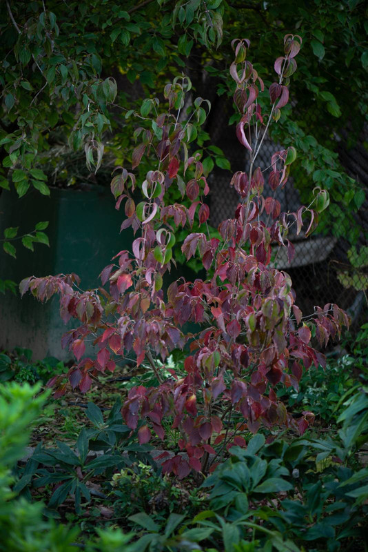 IMG-bb50f3f4962aaf2f1f928cd233fd1455-V