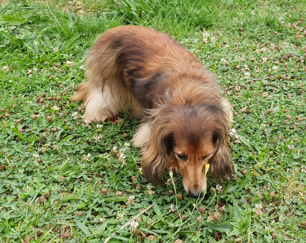 [Image: 20210919-175712.jpg]