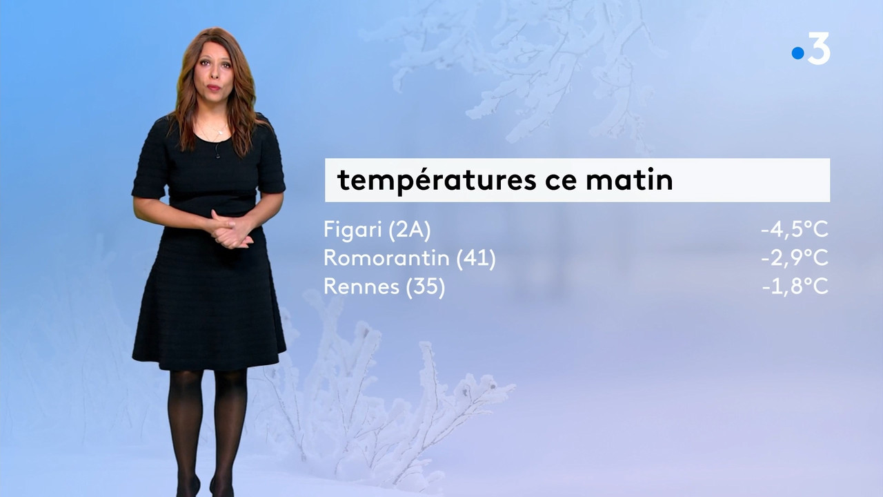 2022-02-11_11_30_Fr3_Meteo.mp4_snapshot_05.33.231