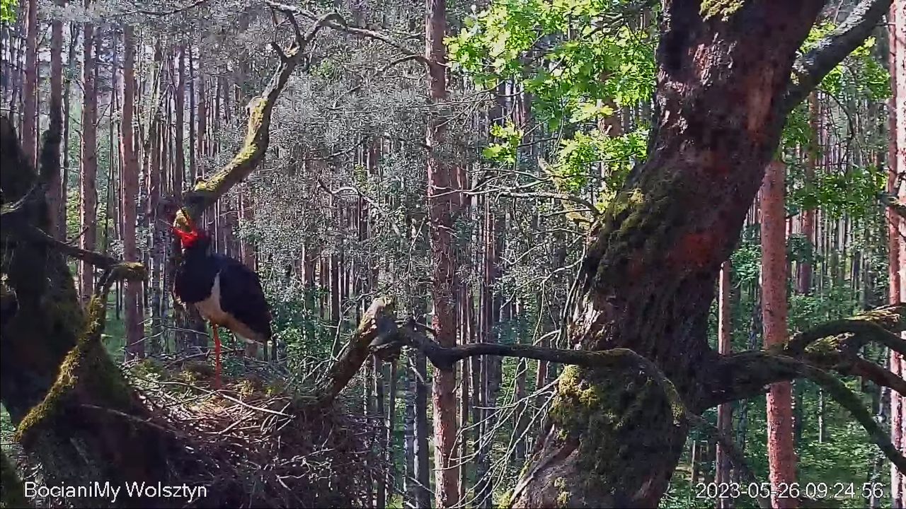 Zrzut ekranu (14096)