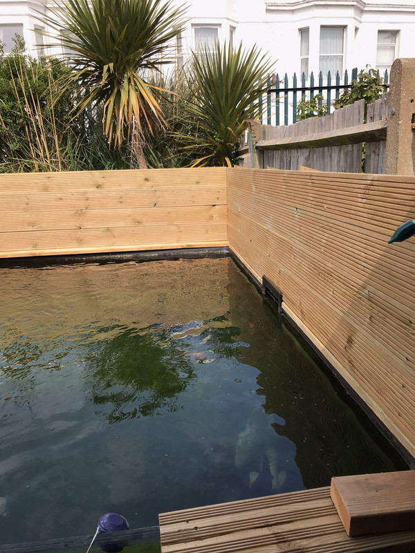 C1F9119D-254E-4DFF-8A1D-EFB257425F20