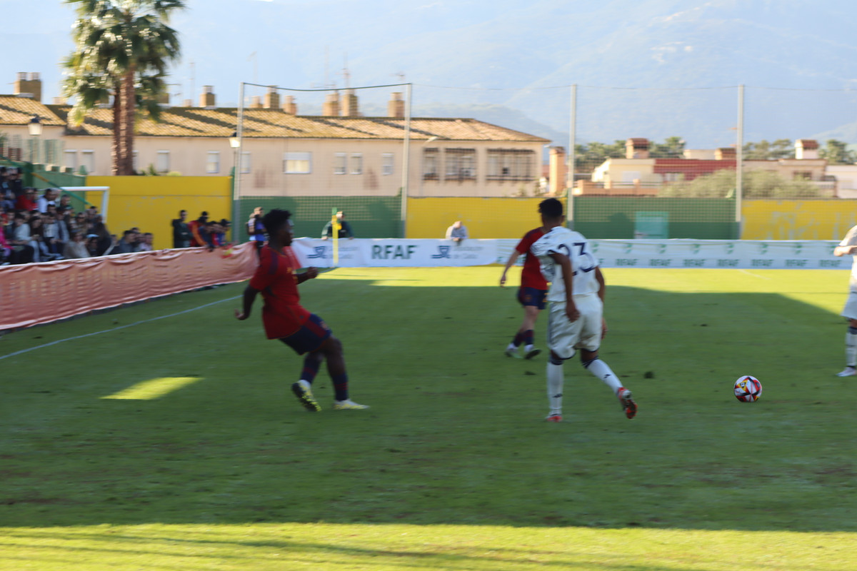 IMG-0533
