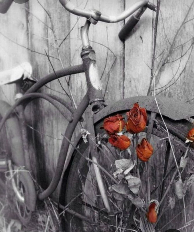 Screenshot_20230409_224842_Pinterest