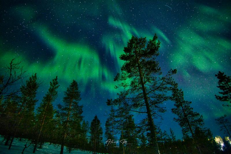Auroras - 3.er reportaje por Laponia norte - Marzo 2025 - Blogs de Finlandia - PARTE I (85)