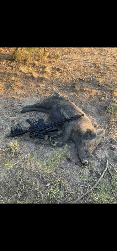 Screenshot_20250811_194022_Gallery