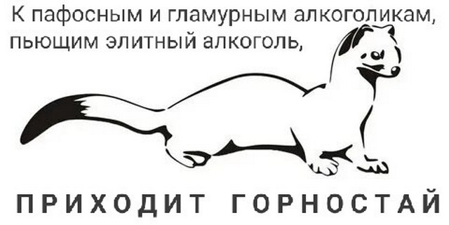 19651638.jpg