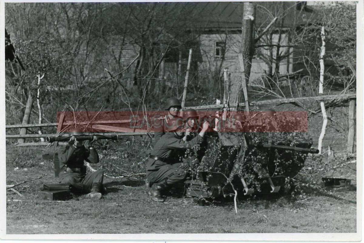 Artillerie Flak Kämpfe Russland Tarn Camo Foto