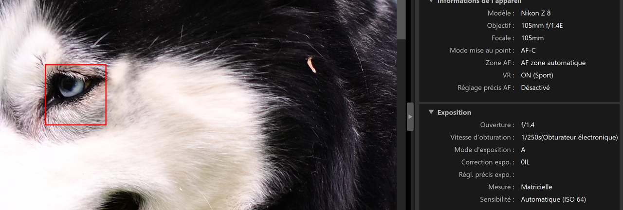 Capture d'écran 2024-05-12 214527