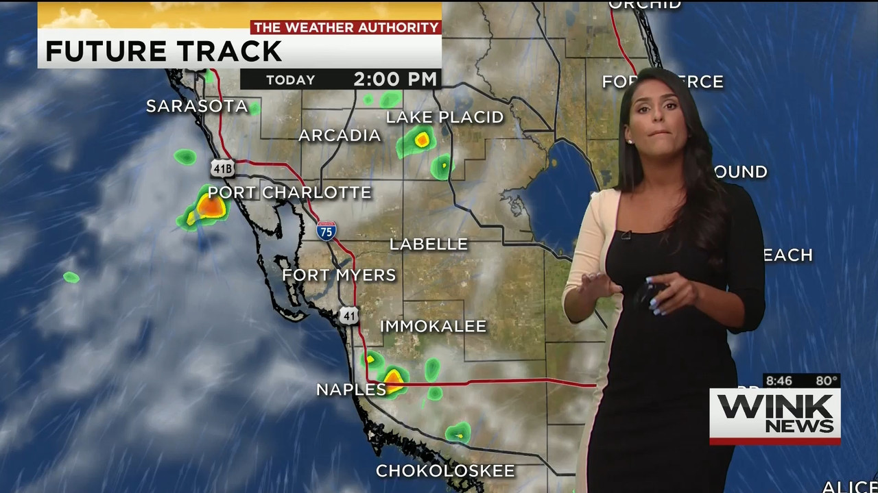 08.16 - 11.00.00 - WINK News @ 6 00AM Sunday..ts_snapshot_00.47.09.770