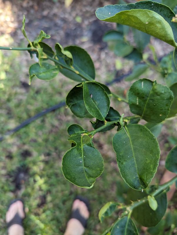 PXL_20231121_134402809