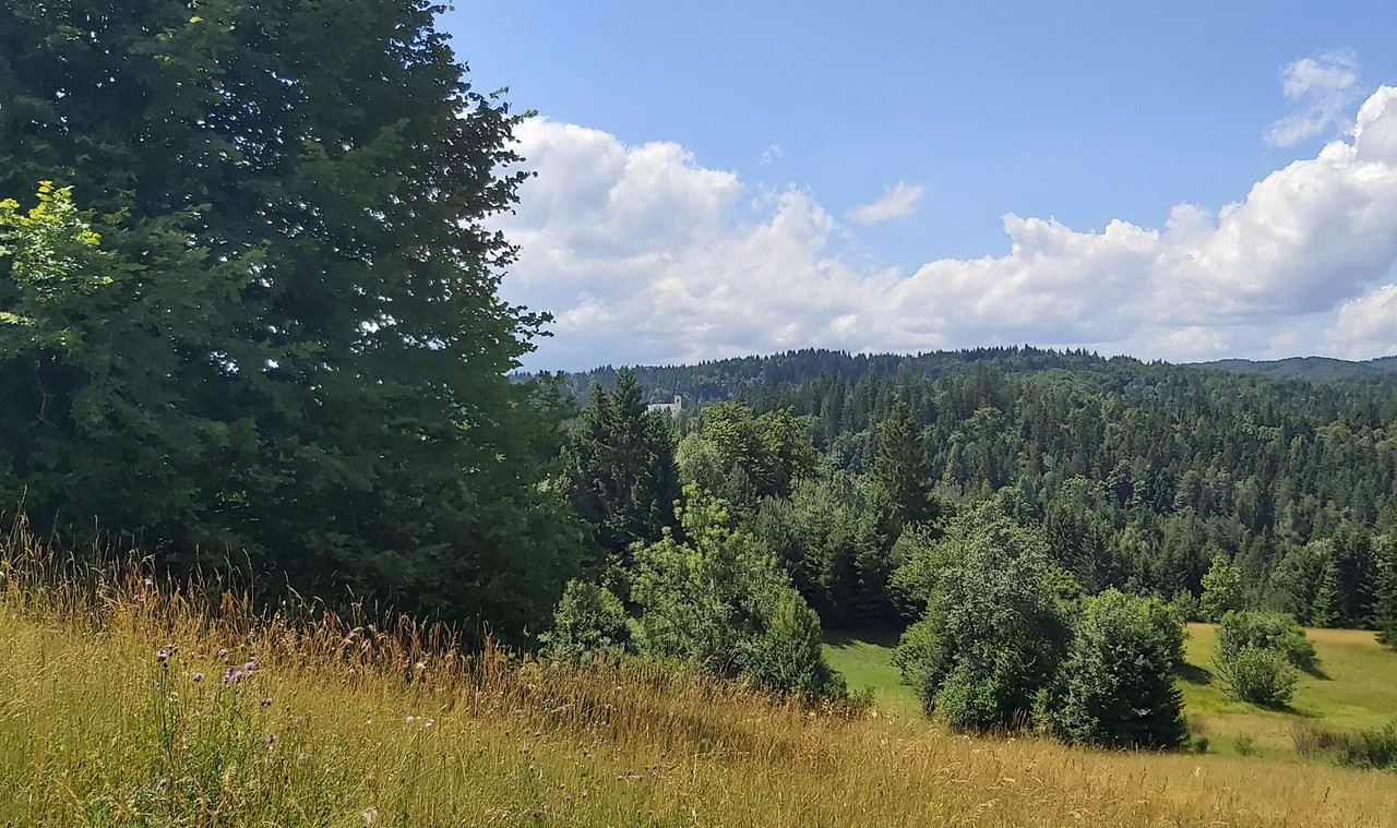 20210714-120437-c.jpg