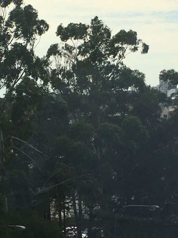 998EEE22-BEB7-419F-88F7-CF7ADB232CED