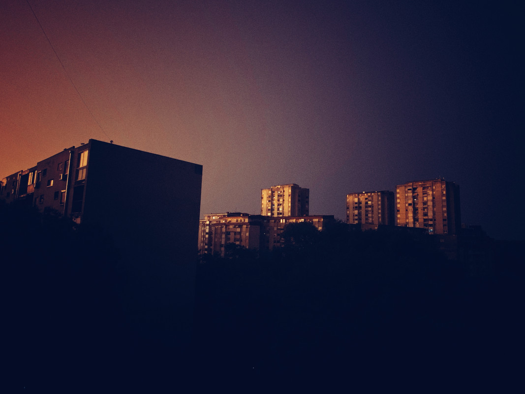 IMG-0354.jpg