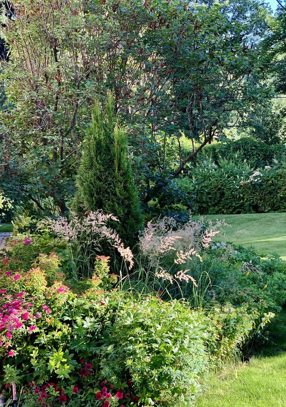 C191390E-0E81-4018-A166-8014D83624D6