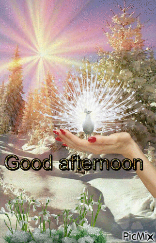 182-afternoon