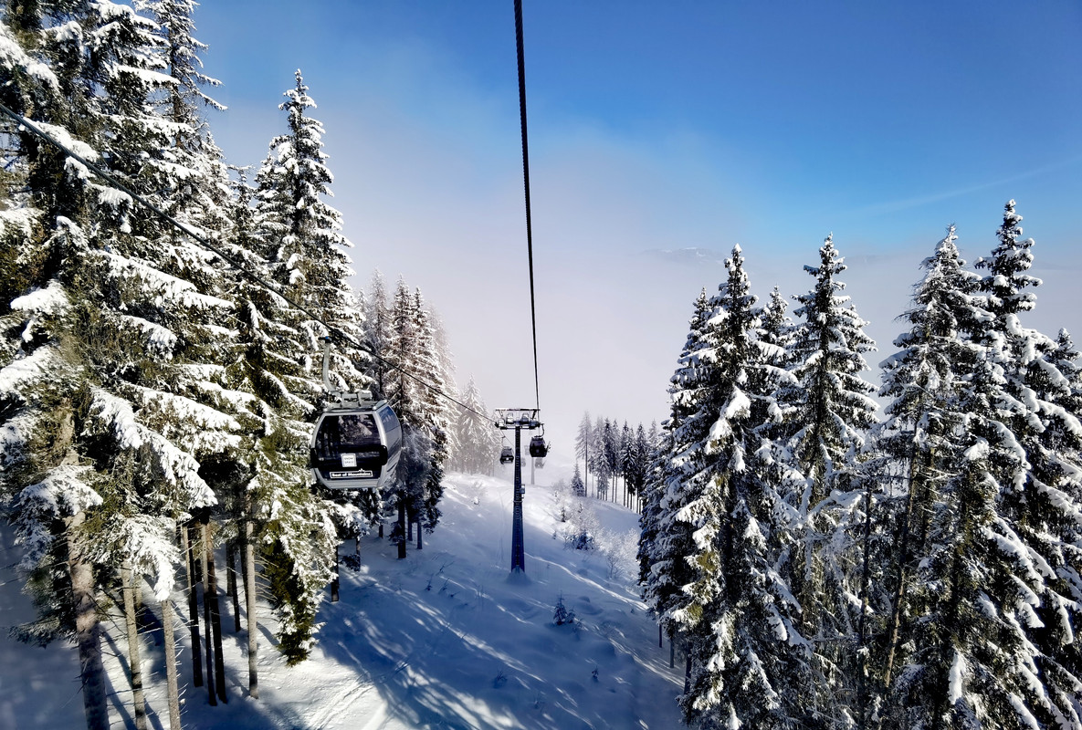 IMG_20220216_092849_edit_126167495824496