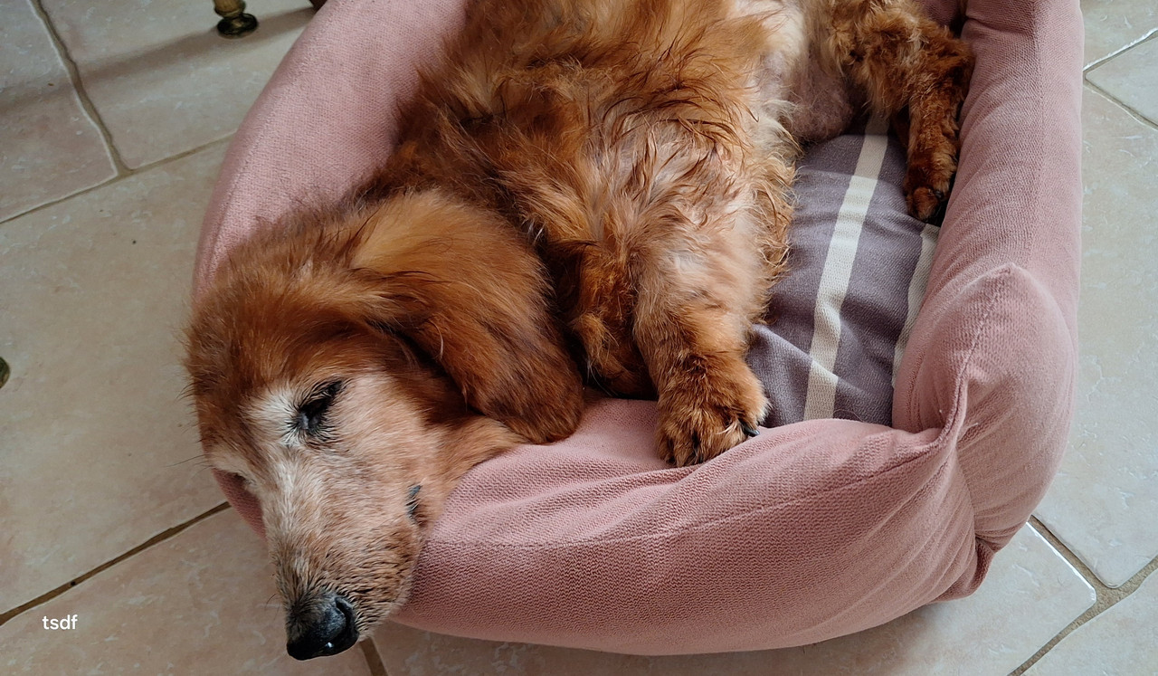 [Image: 20250610-143421.jpg]