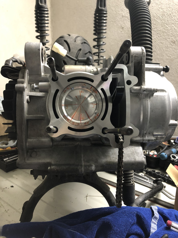 5D10FDB4-A118-44B2-BBB6-43F63F0DBA6E