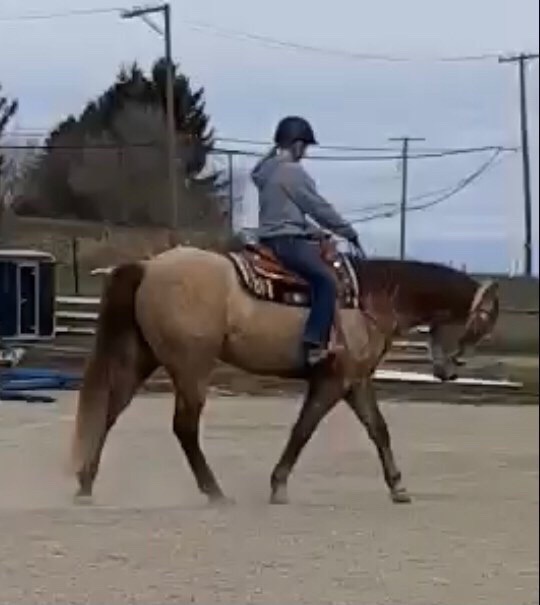 D14B8F1C-0EEE-45C6-A4C2-37DD7154C52D