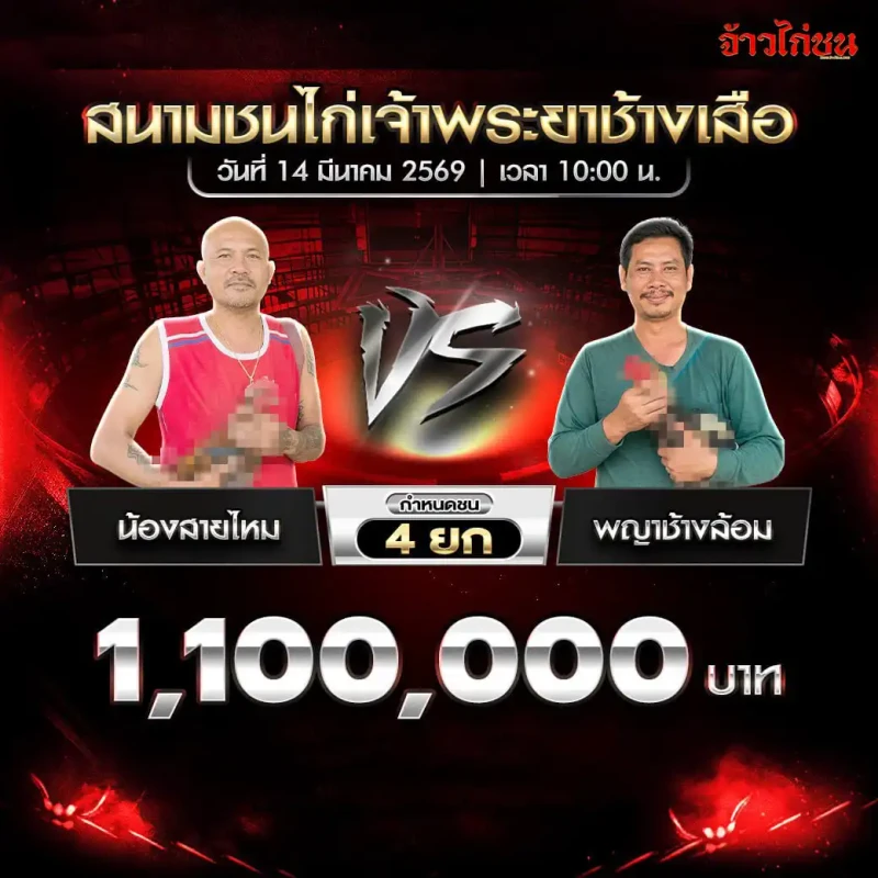 โปรแกรมไก่ชน คู่ที่ 1 น้องสายไหม พบ พญาช้างล้อม สนามชนไก่เจ้าพระยาช้างเสือ 14 มีนาคม 2569