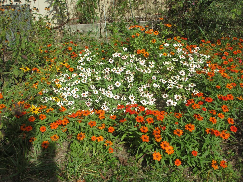 [Image: IMG-3899.jpg]