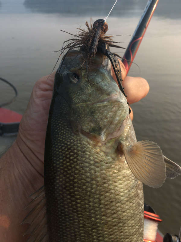 64855947418__4E40350B-44F0-4FEA-BCD6-74C2A8EC0A8C