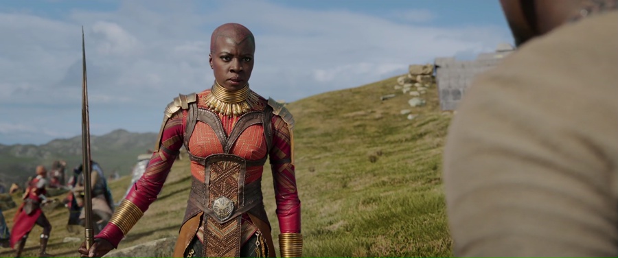 Black Panther 2018 BluRay [Hindi + Tamil + Telugu] 480p, 720p, 1080p ESub Screenshot