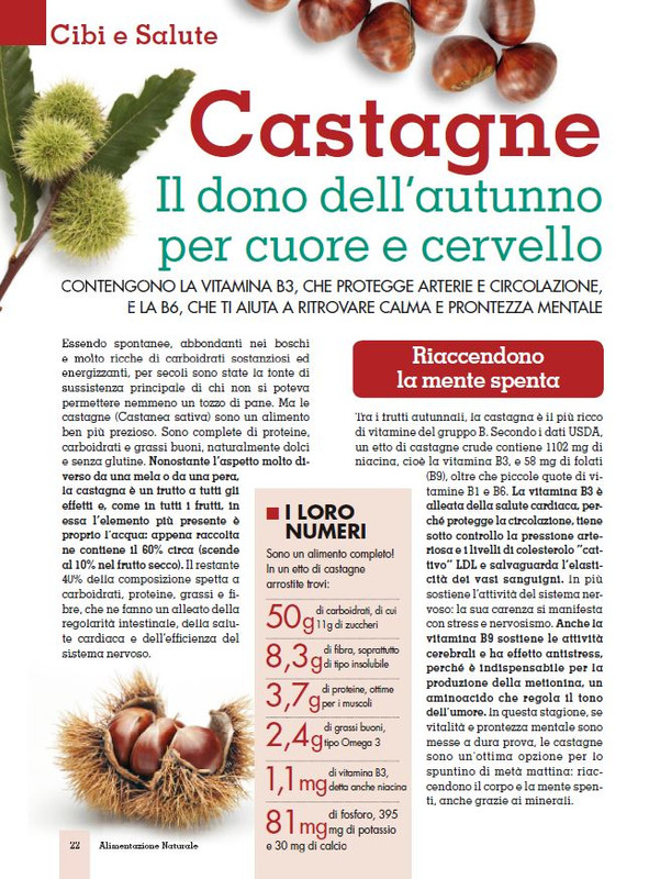 Alim Nat Nov 2019 (3)