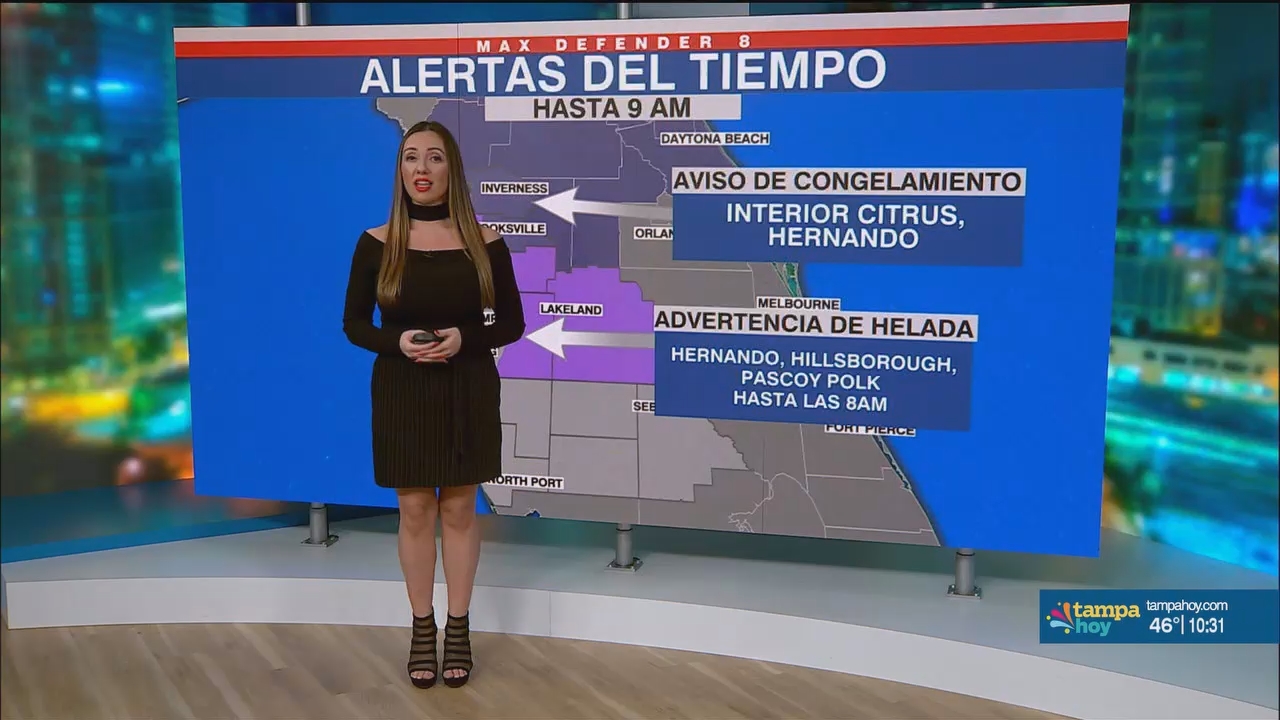 Noticias Tampa Hoy_20250109_03300400.ts_snapshot_02.02.876
