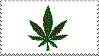 maria juana