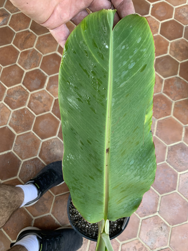 3908C137-C592-48F2-8752-89217758E0D0