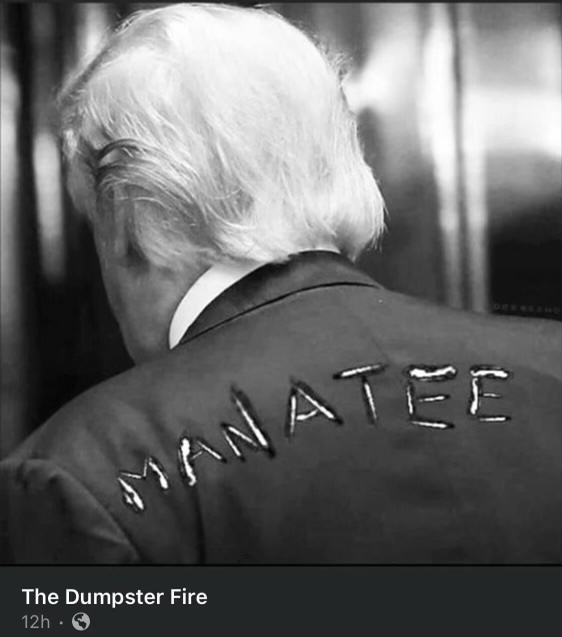 E946-BA91-61-D9-4-EC9-A211-4-B6-E03-F055