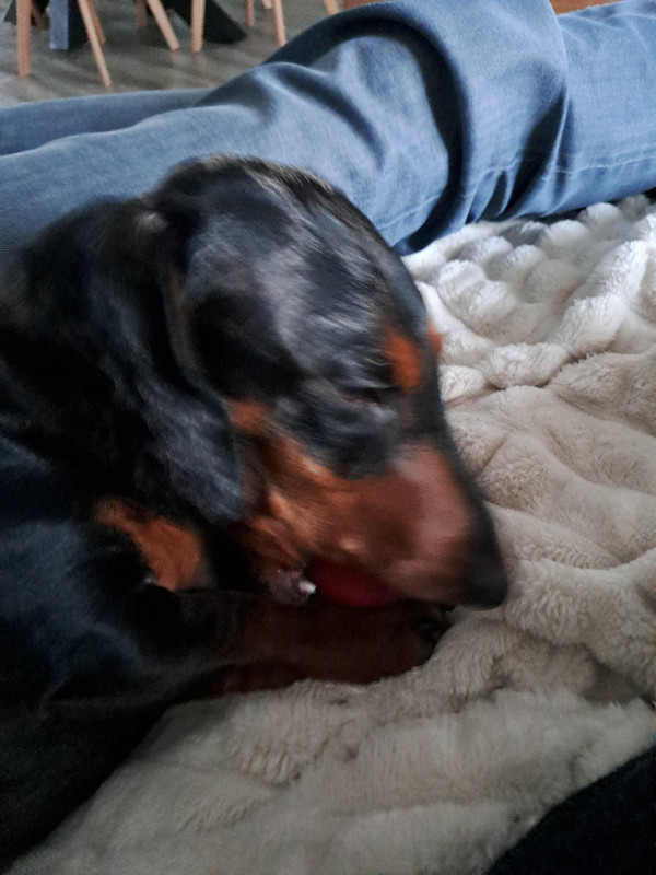 [Image: 20240119-165540.jpg]