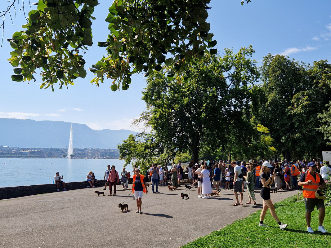 [Image: 20240901-113228.jpg]