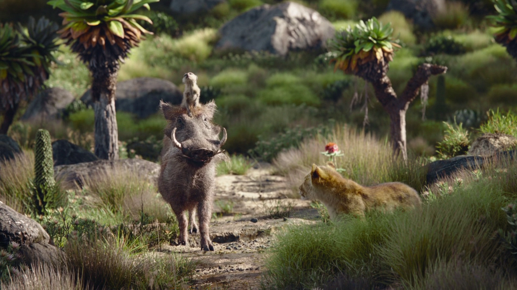 vlcsnap-2019-10-13-13h09m33s846