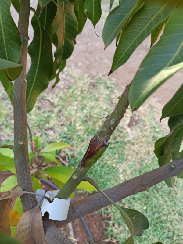 WhatsApp Image 2023-07-25 at 21.59.21 (1)