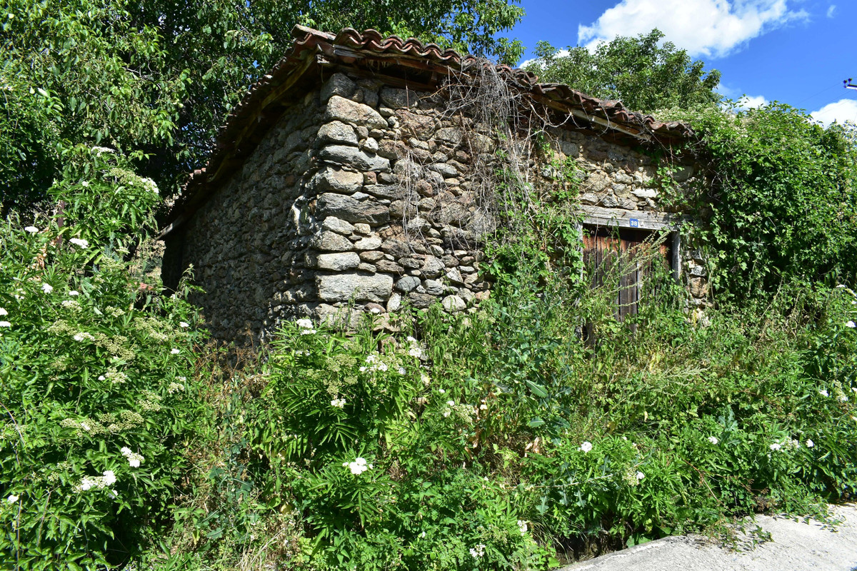 Άγιος Γερμανός (Πρέσπες) (65)