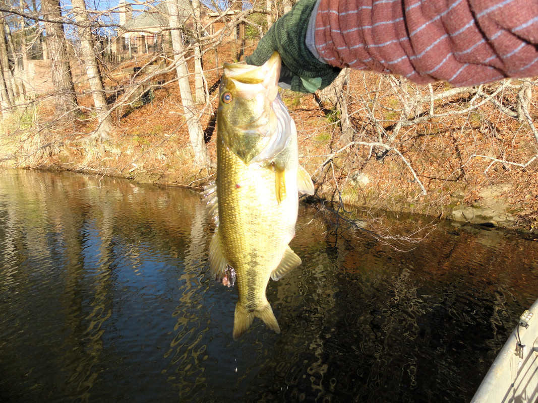 6-8-on-drift-fry-by-dam.jpg