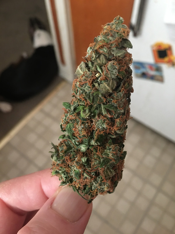 DBD4B875-383A-44CA-9E1F-6CE51EF32E73