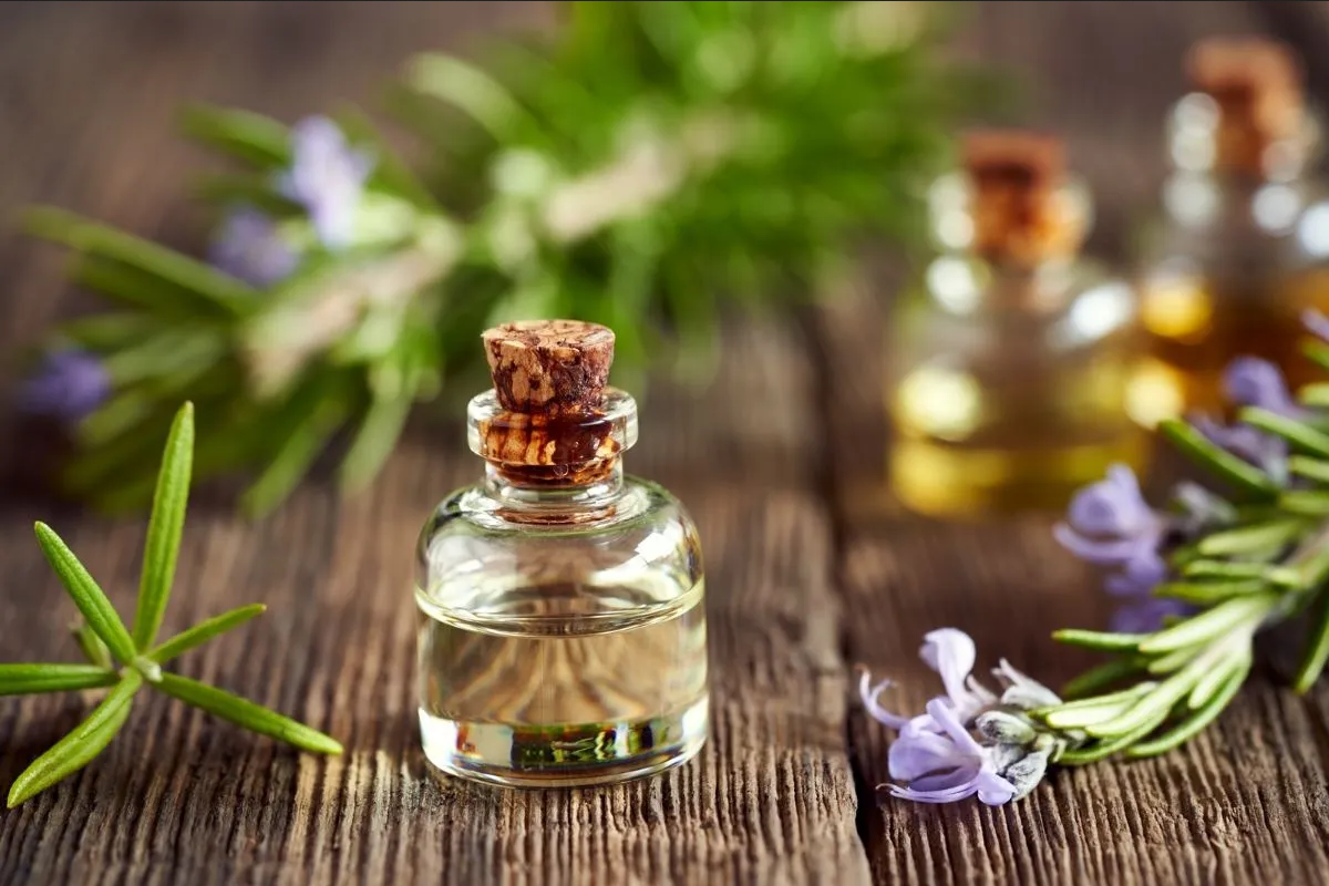 Elimina las várices y la celulitis con esta receta de alcohol de romero