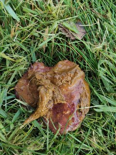 IMG_20211018_094142
