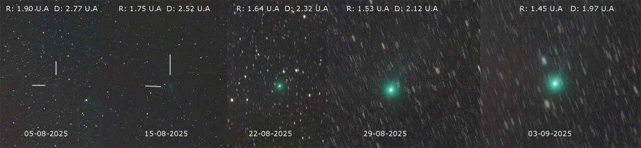 C2025A6_20250903_DID COMPO