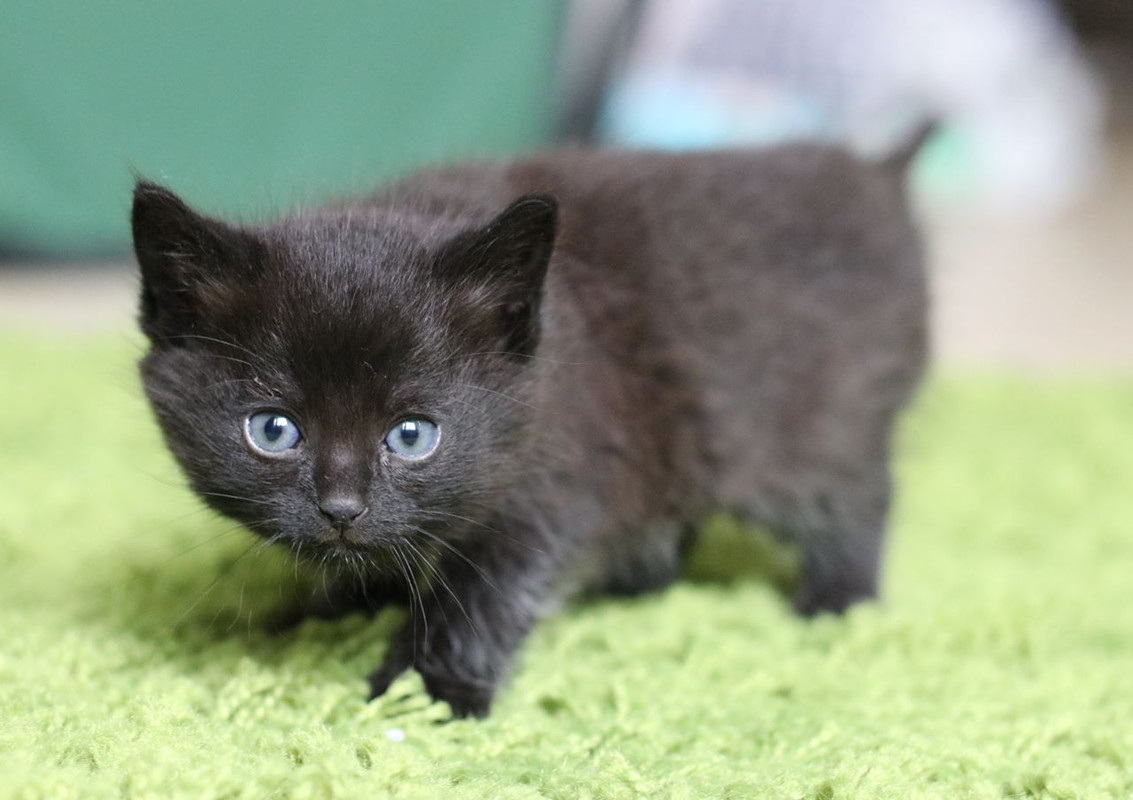 F46BEAA1-7F29-4192-99C2-FF838754262E