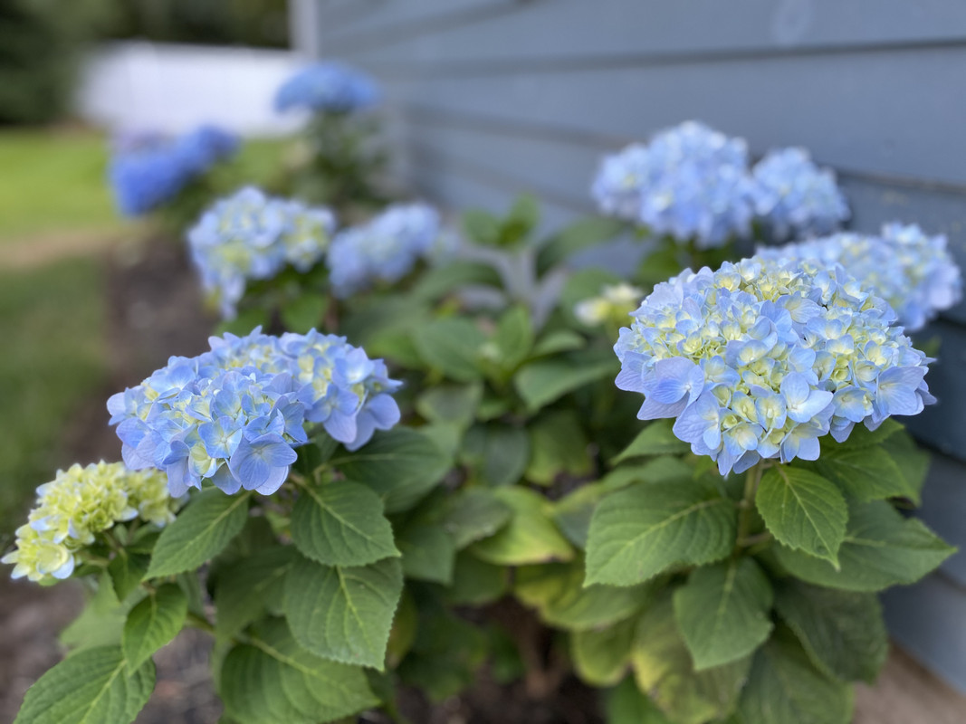 A71E6128-D0B6-429E-B740-D434062541A5