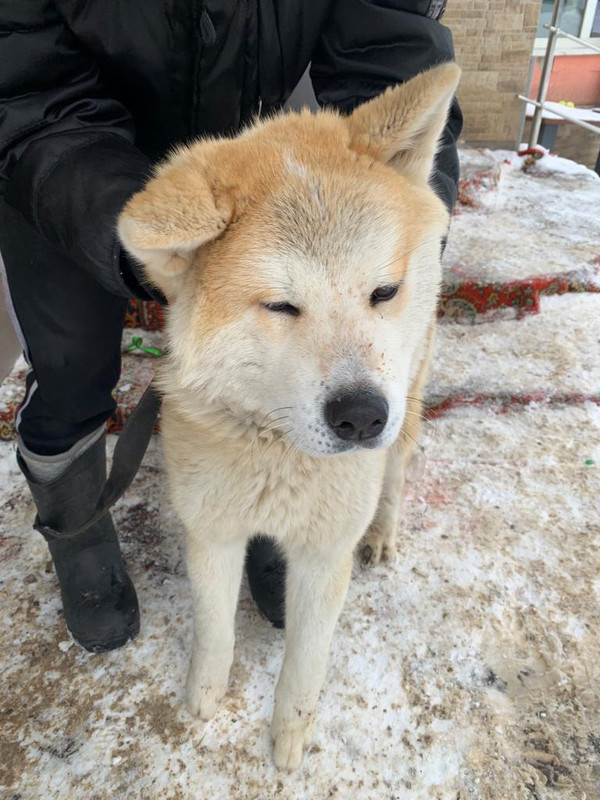 WhatsApp Image 2024-02-13 at 12.39.53 (2)